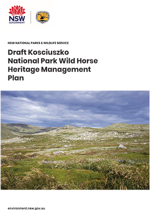 Draft Kosciuszko National Park Wild Horse Heritage Management Plan