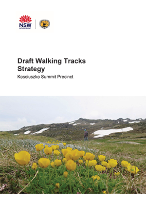Kosciuszko Summit Precinct Draft Walking Tracks Strategy 