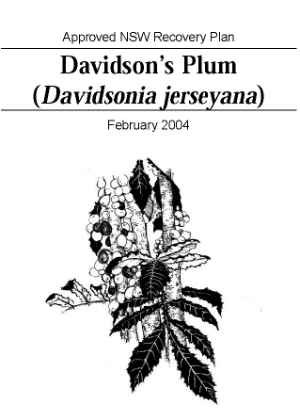 Approved NSW Recovery Plan Davidson’s Plum (Davidsonia jerseyana) cover.