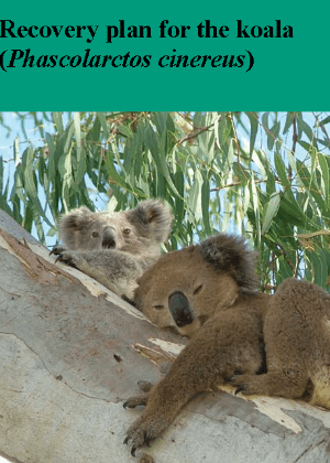 Recovery plan for the koala (Phascolarctos cinereus) cover.