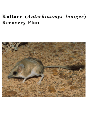 Kultarr (Antechinomys laniger) Recovery Plan cover.
