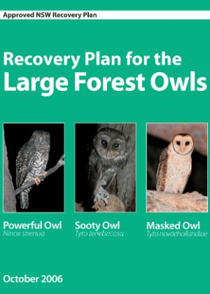 Recovery Plan for the Large Forest Owls cover.