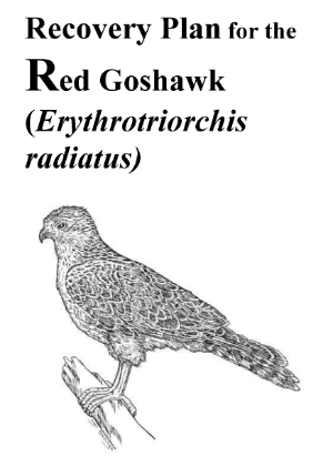 Recovery Plan for the Red Goshawk (Erythrotriorchis radiatus) cover.