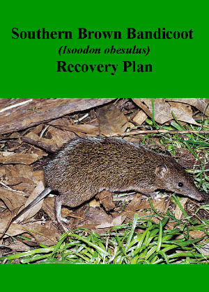Southern Brown Bandicoot (Isoodon obesulus) Recovery Plan cover.