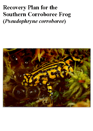Recovery Plan for the Southern Corroboree Frog (Pseudophryne corroboree) cover.