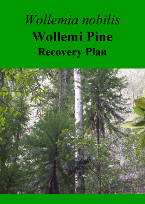 Wollemia nobilis Wollemi Pine Recovery Plan cover.
