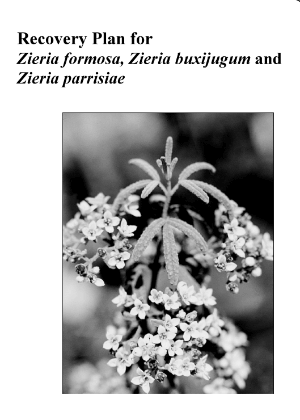 Recovery Plan for Zieria formosa, Zieria buxijugum and Zieria parrisiae cover.