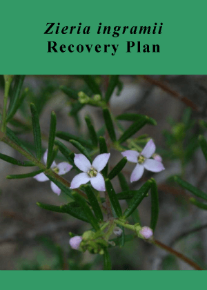 Zieria ingramii Recovery Plan cover.