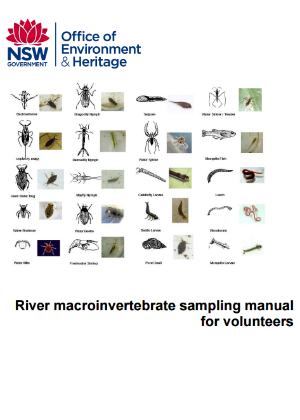 River macroinvertebrate sampling manual for volunteers cover