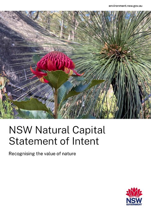 NSW Natural capital statement of intent cover