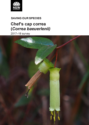Cover of Chef’s cap correa (Correa baeuerlenii): 2017-18 survey