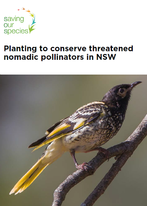 Planting to conserve threatened nomadic pollinators in NSW cover
