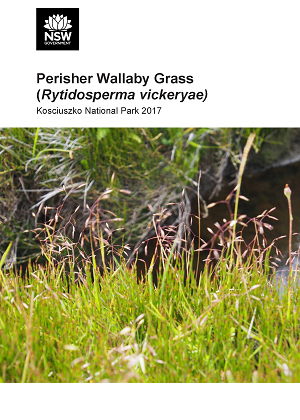 Cover of Perisher Wallaby Grass survey