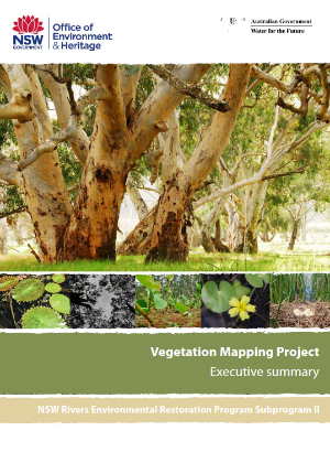 Rivers Environmental Restoration Project Vegetation Map Executive Summary cover