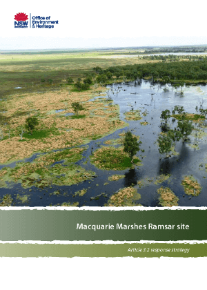 Macquarie Marshes Ramsar site - response strategy cover