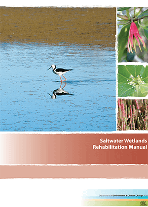 Saltwater Wetlands Rehabilitation Manual cover