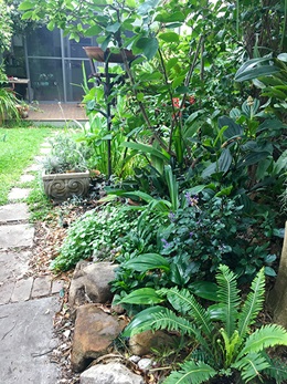 Stepping stone path lined by green plants in garden leading to back verandah of house.
