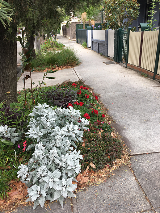Concrete footpath with verge garden and trees on one side and house fences on the other side.