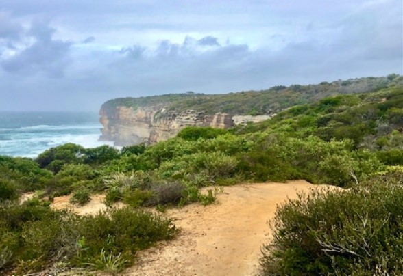 sandstone cliffs along coastline near ocean with low heath vegetation and sandy track at Malabar Headland