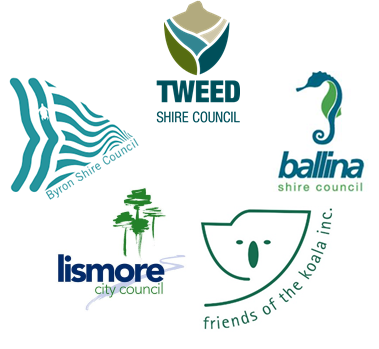 Northern Rivers Koala Project partner logos - Ballina Shire Council, Byron Shire Council, friends of the koala inc., lismore city council and Tweed Shire Council