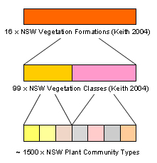 NSW vegetation classification hierarchy figure