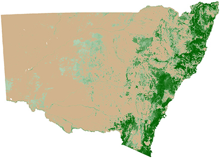 State wide map: woody vegetation foliage cover