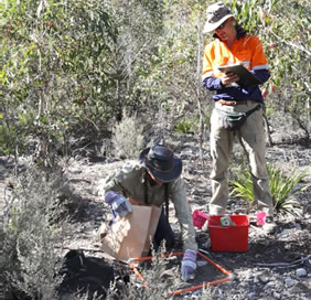 Two scientists on rock surrounded by bush using equipment to assess ecological indicators in the field 