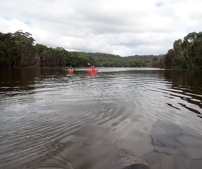Kayaking on Lake Couridjah, 5 March 2022