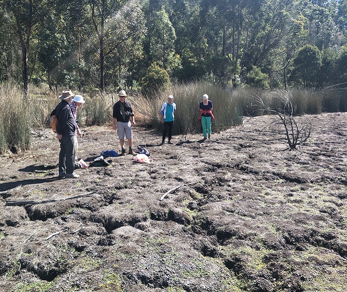 The Friends of Thirlmere Lakes field survey at Lake Werri Berri in September 2020.