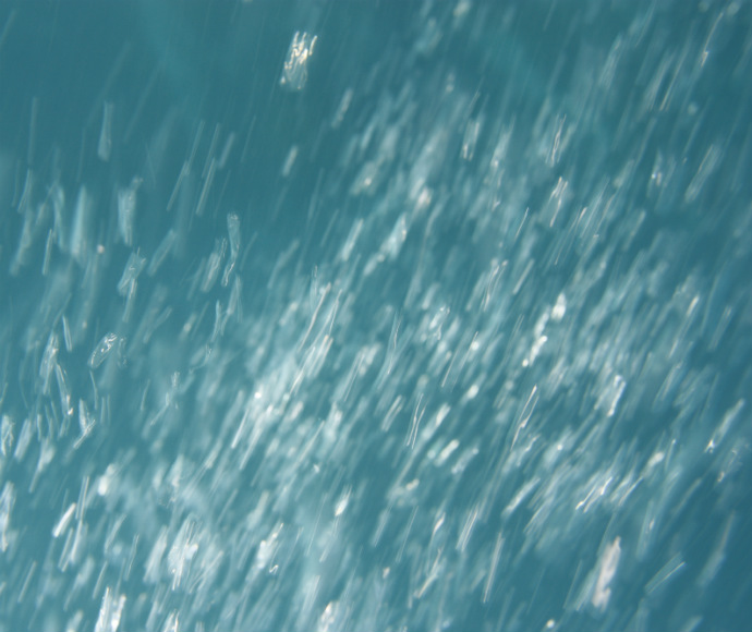 An image of air bubbles in the water column from OEHs underwater towed video system