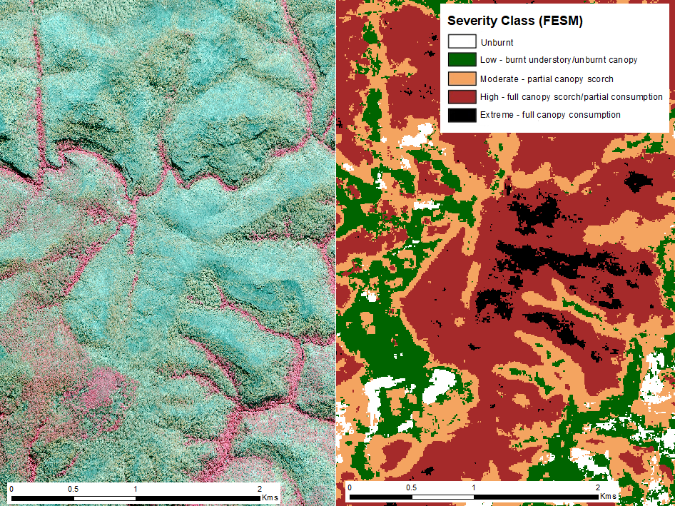 Fire extent and severity mapping image