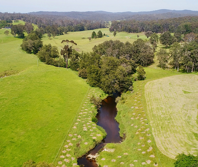 Planting riparian revegetation and fencing a creek line prevents cattle entering waterways and reduces nutrients and sediment run-off as trees grow