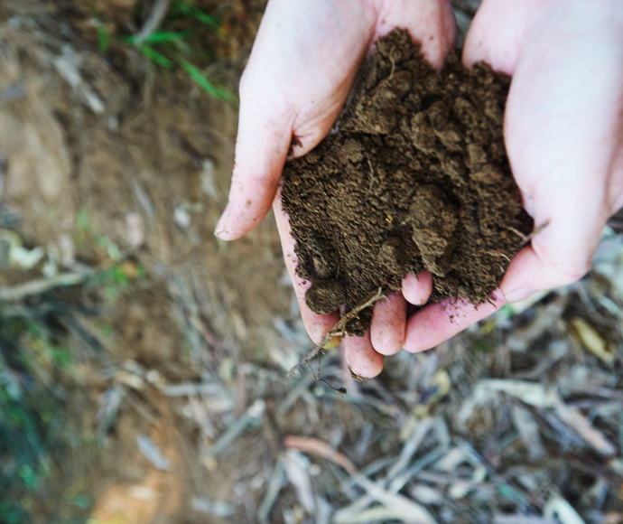 Soil organic carbon can be used by farmers as a way to store carbon through changing their land management practices