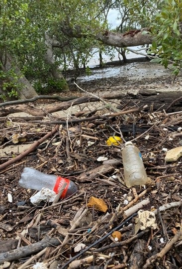 Plastic bottles washed up on shore