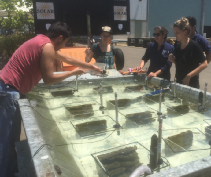 Researchers outside a garage-type building looking over a wide, shallow basin of water in which there are 12 specimens each in their own container.