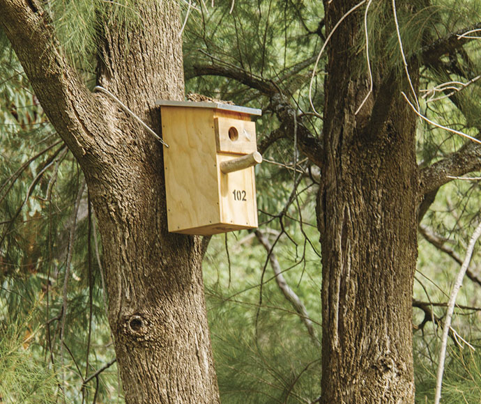 Bird nesting box at Warrumbungle National Park