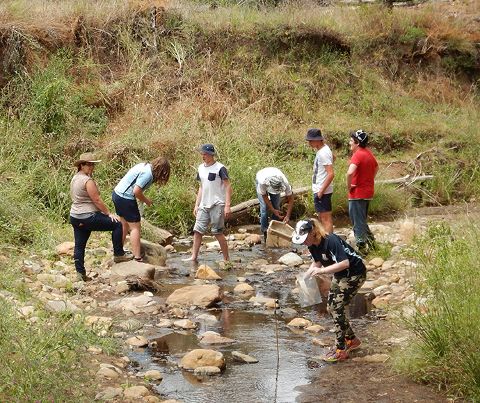 Citizen science macroinvertebrate project - collecting samples from a creek, Warrumbungles