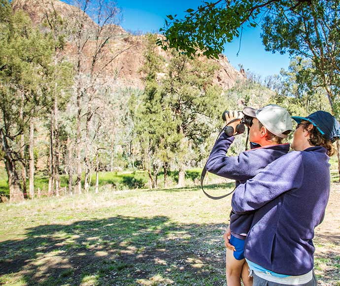 Child with binoculars watching birds at Warrumbungle National Park, Burbie Canyon track