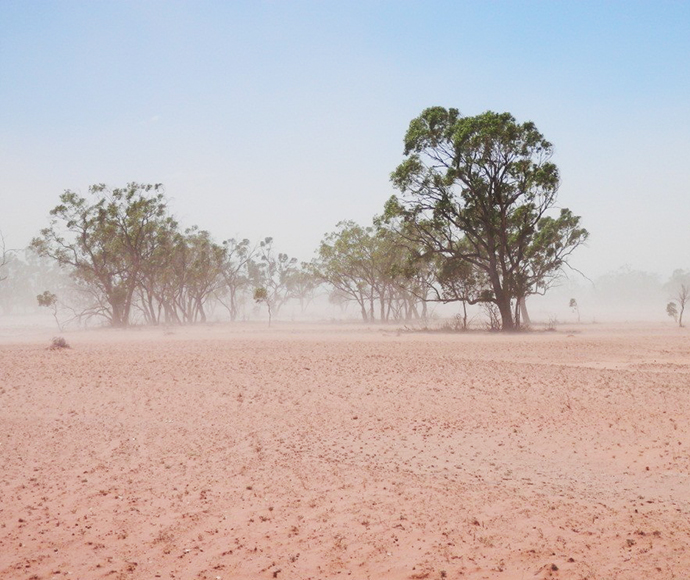 Dust storm at Narran Lake Nature Reserve