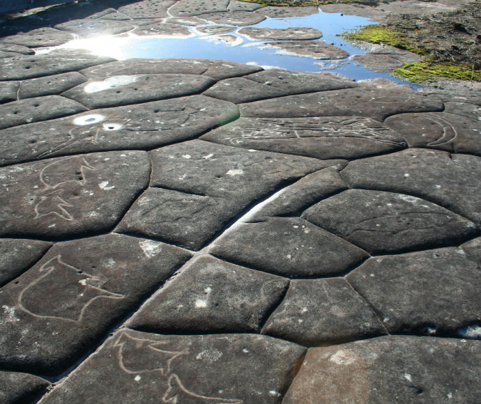 Guringai Rock Art Conservation Project