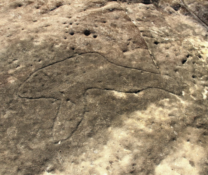 Bulgandry Aboriginal Site, Aboriginal rock engravings, Brisbane Water National Park