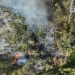 Aerial view of a cultural burn which helps maintain essential habitat for the eastern bristlebird.