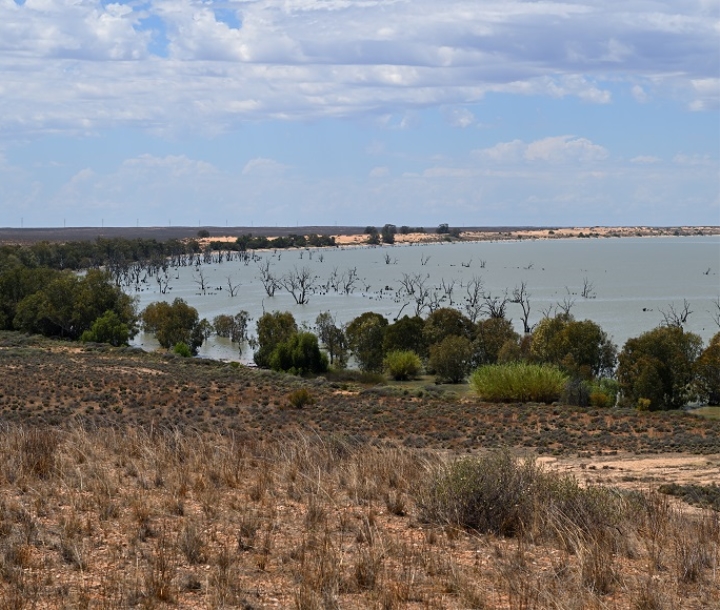 Dry northern shoreline and the waters of Lake Victoria, NSW