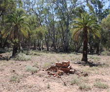 The Island (Poonyea) Aboriginal Place, John Murray’s house location, showing remnants of chimney and palm trees.