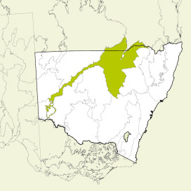 Map showing the Darling Riverine Plains bioregion