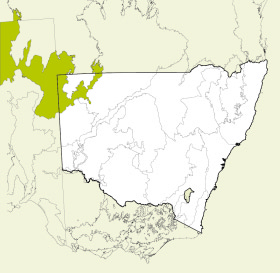 Simpson-Strzelecki Dunefields bioregion location map