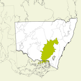 Map of NSW showing location of the South Western Slopes bioregion