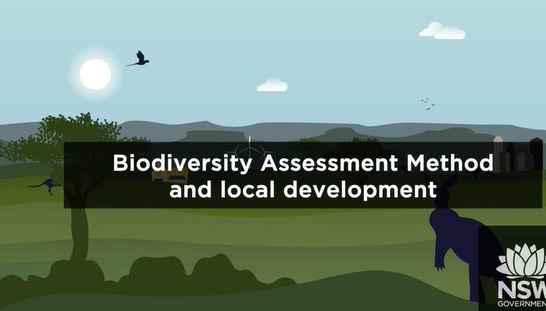 Biodiversity Assessment Method and local development