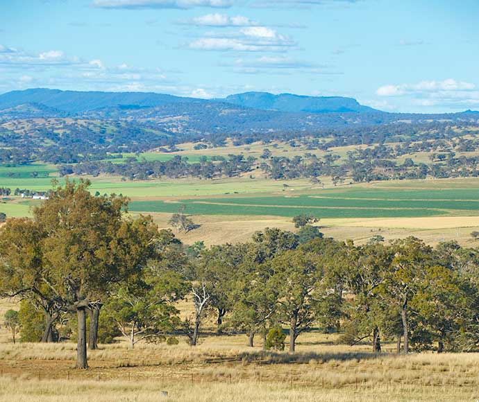 Biodiversity, country landscape between Dubbo and Newcastle