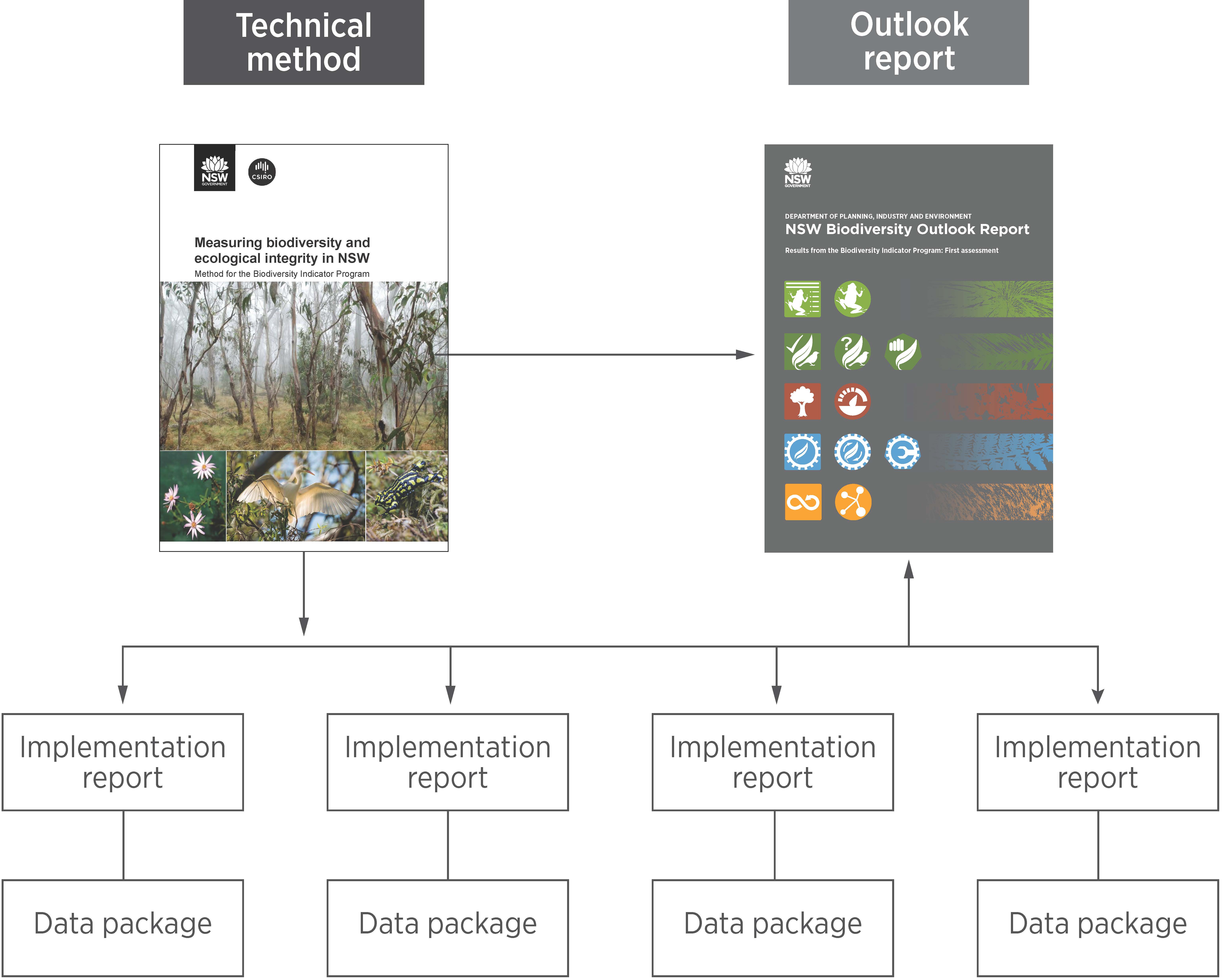 Tree diagram showing relationship between the Biodiversity Outlook Report, Method and implementation reports